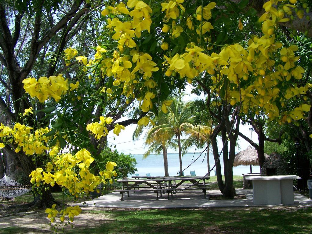Rock Reef Resort Key Largo Exterior foto
